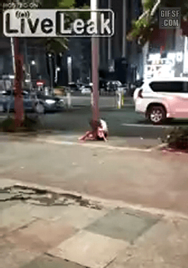 '치이코와의 재회는 최악이었다.'.gif_2.gif