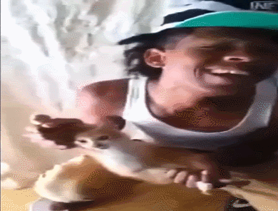 냥코디언_1.gif