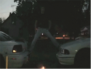 괜찮아, 안죽어 짤 모음_11.gif