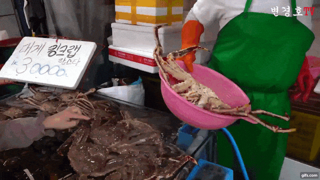 전국에서 가장 악명높은 수산시장.jpg_8.gif