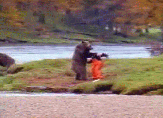 약혐) 실제 곰vs인간 결투 장면.gif_1.gif