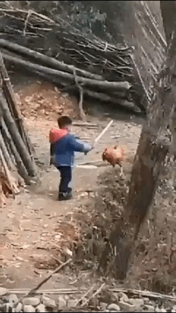 게임 뉴비.GIF | 유머 게시판 | RULIWEB 게임 뉴비.GIF | 유머 게시판 | 루리웹