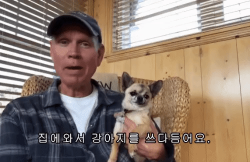 치와와 움짤_1.gif
