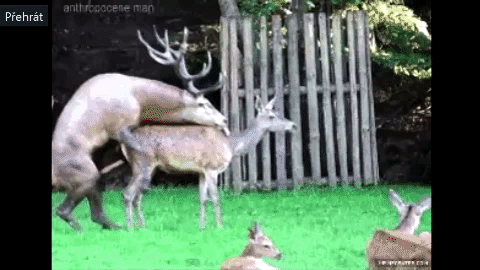 영양짤이나 받아라_9.gif