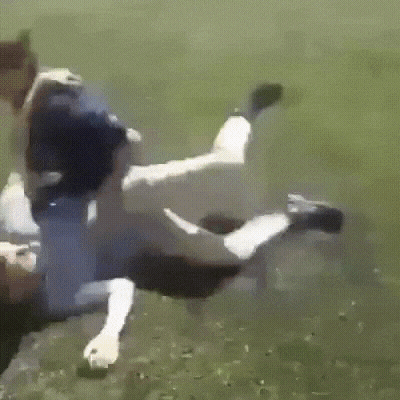 실제 싸움 현장에 꼭 있는 유형.gif_2.gif