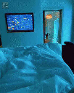 부산에 들어오는 두바이식 수중호텔_2.gif