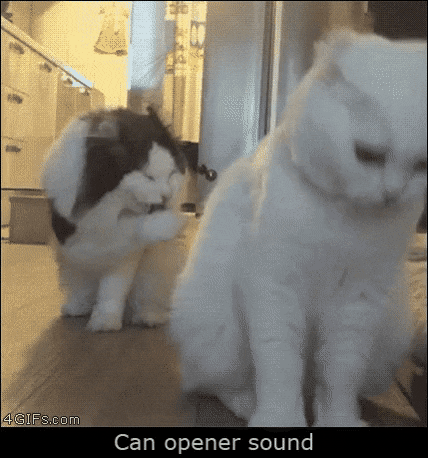 우리는 모두 칼라로 이어져있다.gif_6.gif