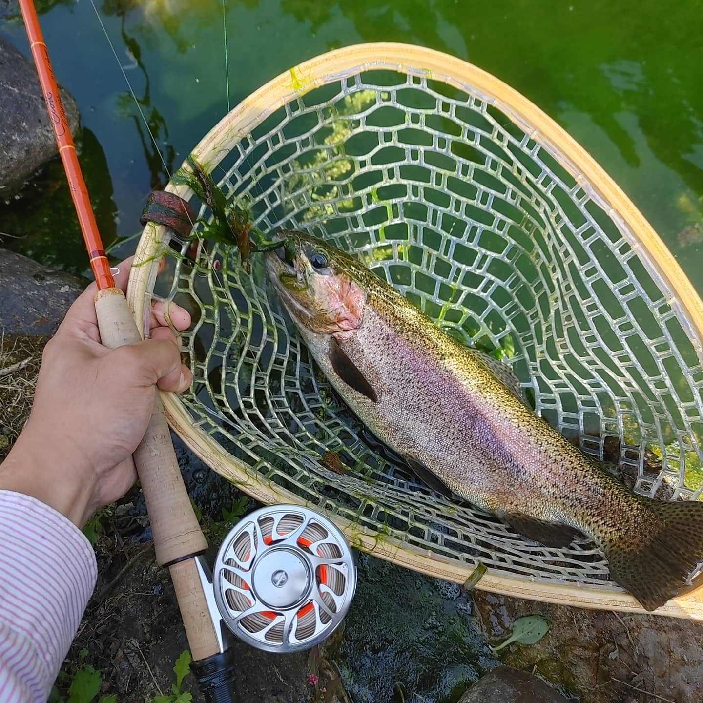 플라이낚시 플라이 낚시를 개시했습니다