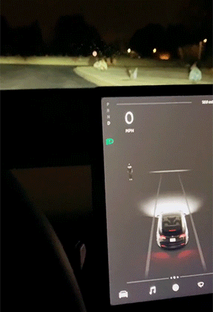 공동묘지의 테슬라 근황.gif_3.gif