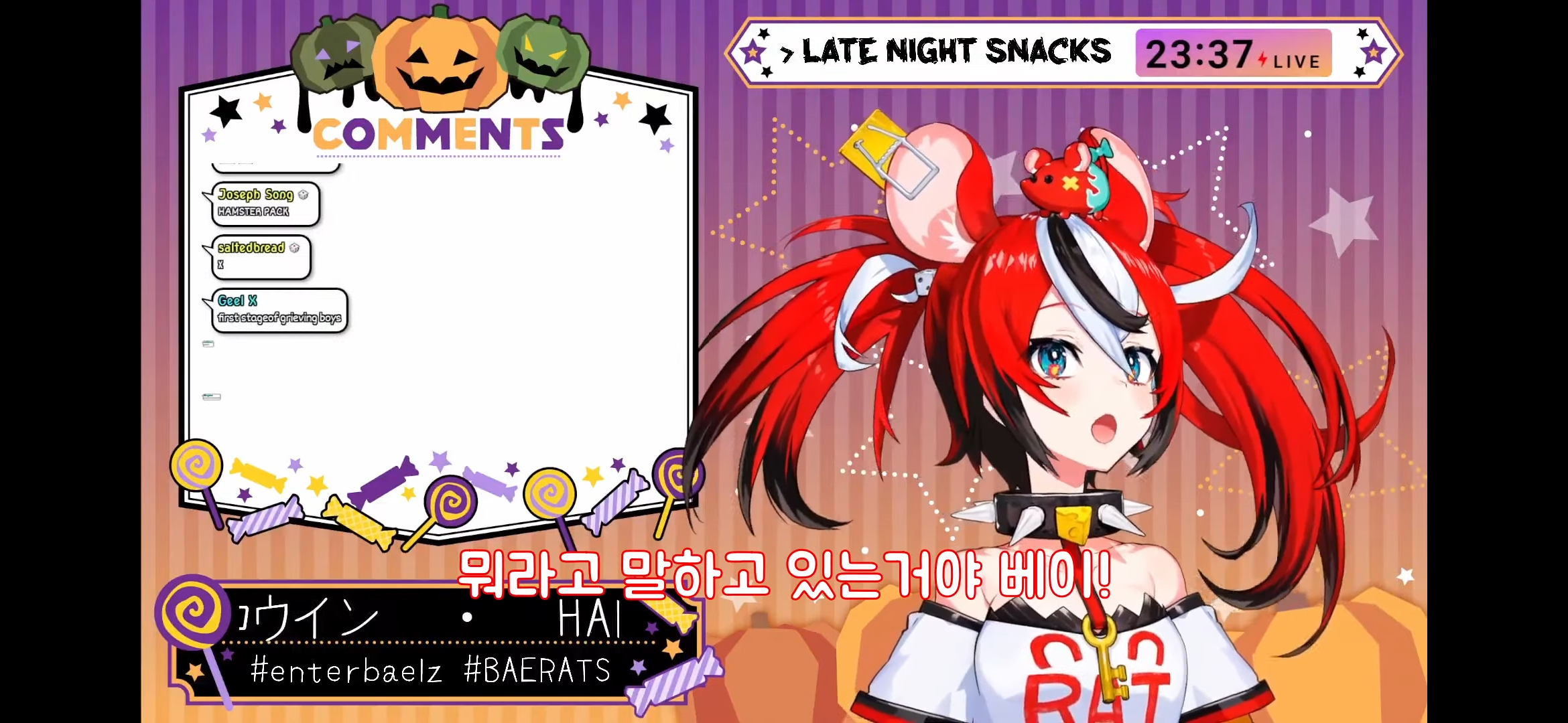 버튜버 나는 쥐가 아니야