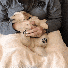 질문) Shotcut으로 영상 여백 자르기 기능 좀 알려주세요_3.gif