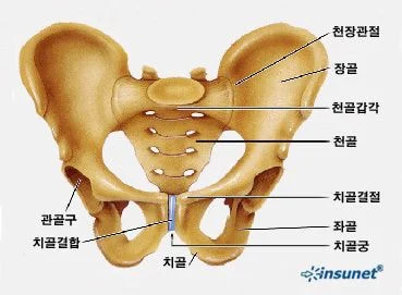 팬티도 패션, 밑가슴 이어 '치골 노출'…MZ세대, '남녀구분無' 젠더리스에 매료_1.webp