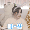 본인이 돼지라는 치어리더