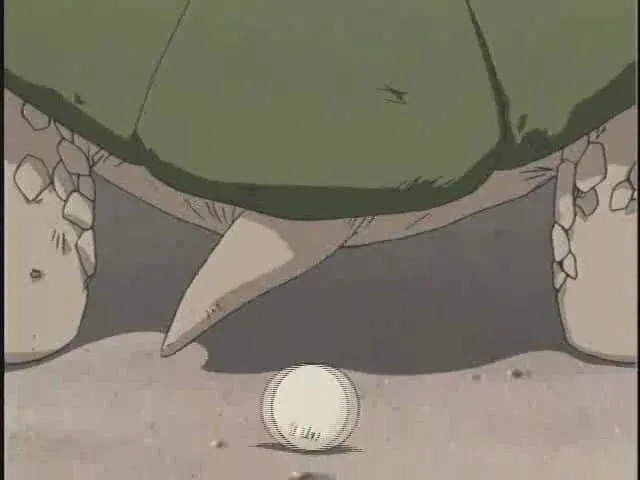 거북이가 팽이를 낳는 만화_2.webp