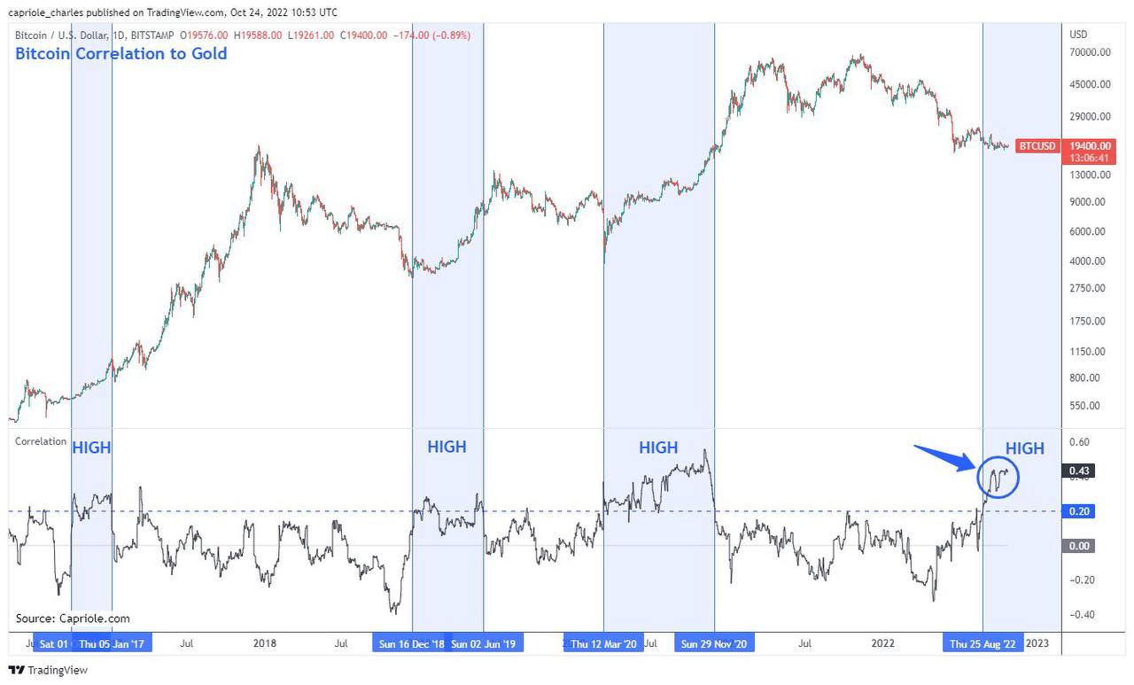 비트코인과 금의 상관관계 특이점 도달