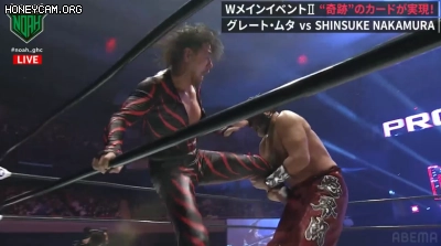 프로레슬링) 공중기 문썰트의 창시자 근황_13.webp