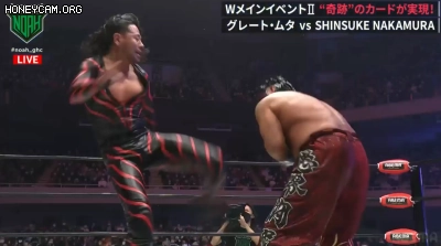 프로레슬링) 공중기 문썰트의 창시자 근황_14.webp