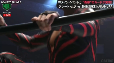 프로레슬링) 공중기 문썰트의 창시자 근황_15.webp