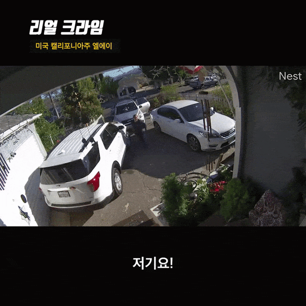 총기합법화를 외치는 자들의 미래.gif_2.gif