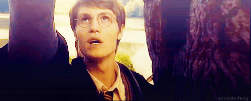 해리포터) 해리가 제임스에게 배신감을 느낀 이유_8.gif