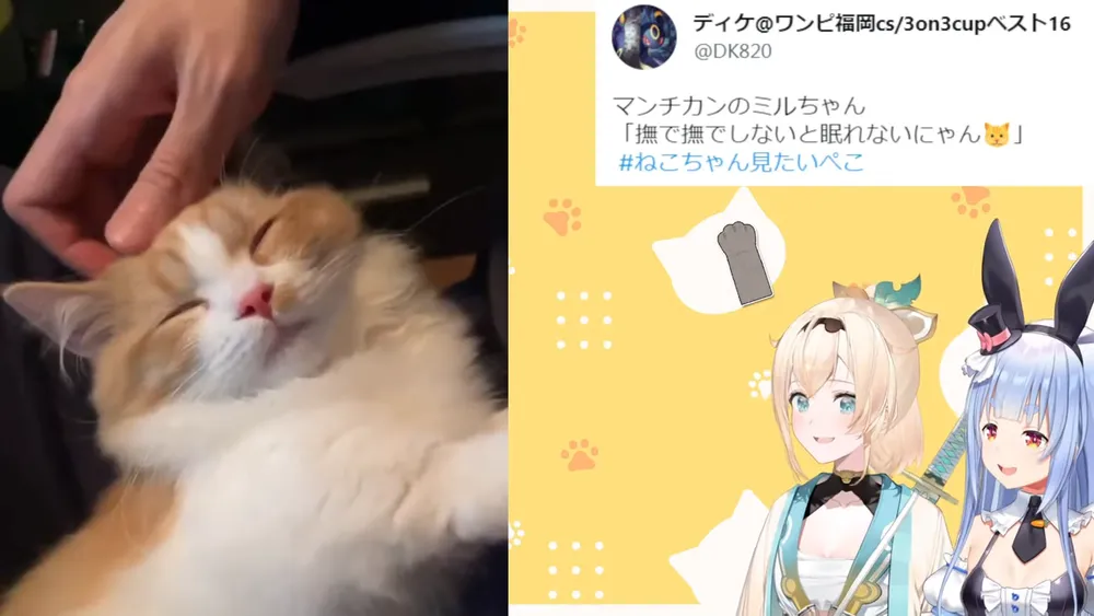 버튜버) 마츠리 : GIF 보내줘_2.webp