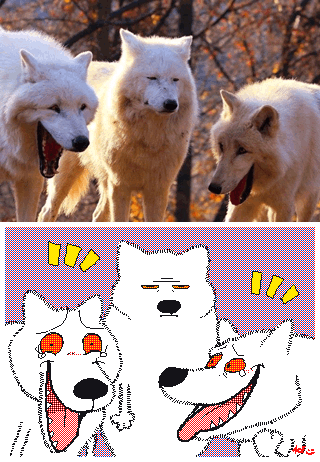 여러분 제가 원본을 가져왔습니다_2.gif
