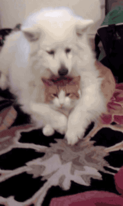 난 오늘부터 어그로맨이 될거야_3.gif