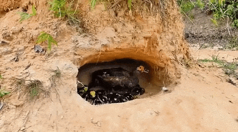 아줌마, 여긴 내 집이야.gif_1.gif