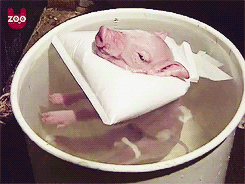 "헤헤... 주인님... 따뜻해서... 기분 좋아요...."_3.gif