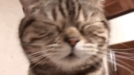 아놬 서버 터졌..._1.gif