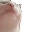 앙카댄스의 나름역사_3.gif