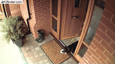 18a96cb916a2f0c59.gif