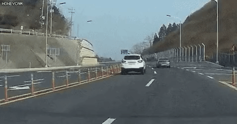 뇌정지 오는 짤.gif_1.gif