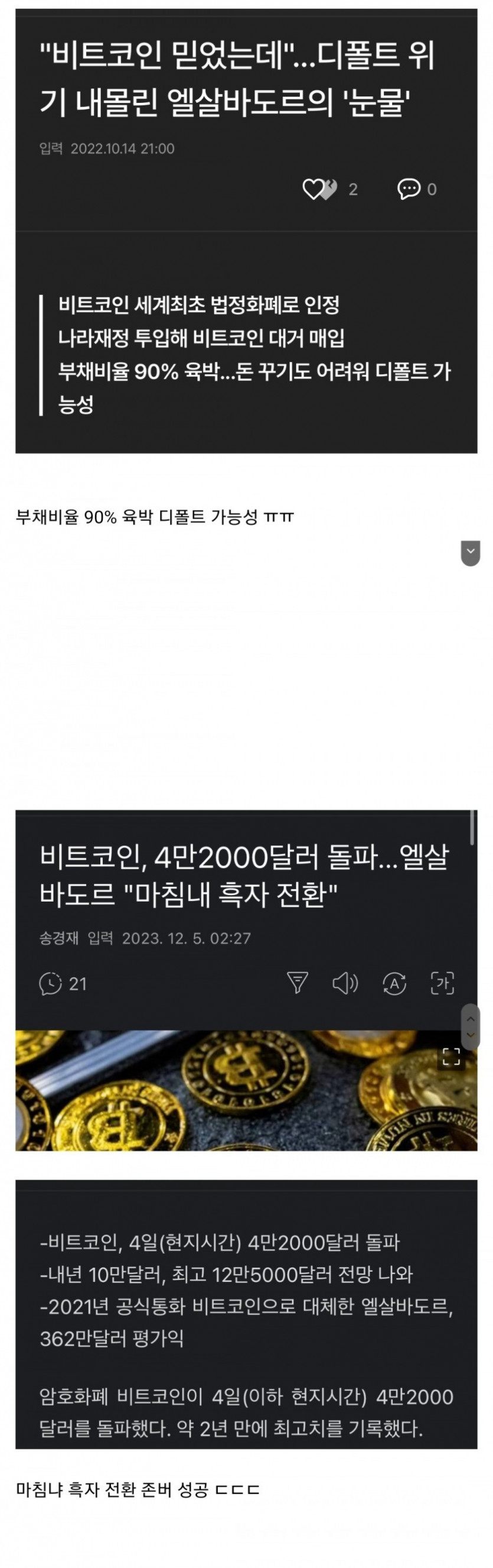 비트코인 국부펀드 (86) 사진