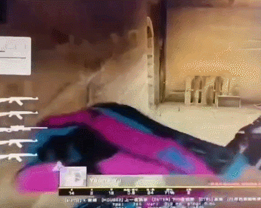 FPS 게임 기적의 시야각_2.gif