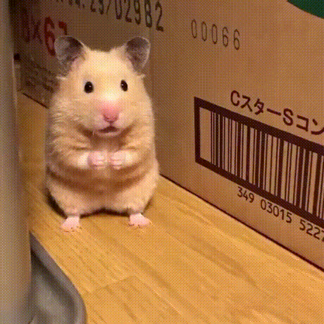 버튜버) 크아악_1.gif