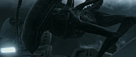 에일리언) 제노모프는 화염이 약점이다?_4.gif