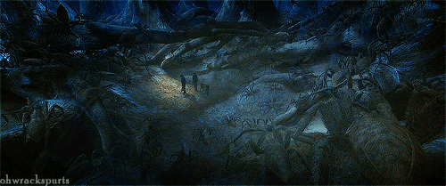 해리포터) 본편 기준 가장 위험한 마법 생물_6.gif