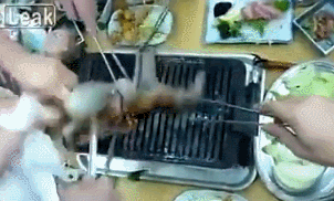 끄아아아악!! 비밀기지는 남쪽에있다!!!_1.gif