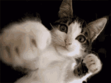 나름 무과금으로 게임 한다 생각했는데.._1.gif