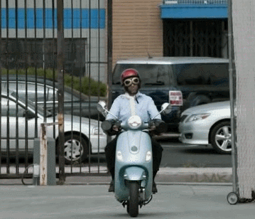 그렇넹,확실히 다들 참 예쁘게 차려입고 다닌당._1.gif