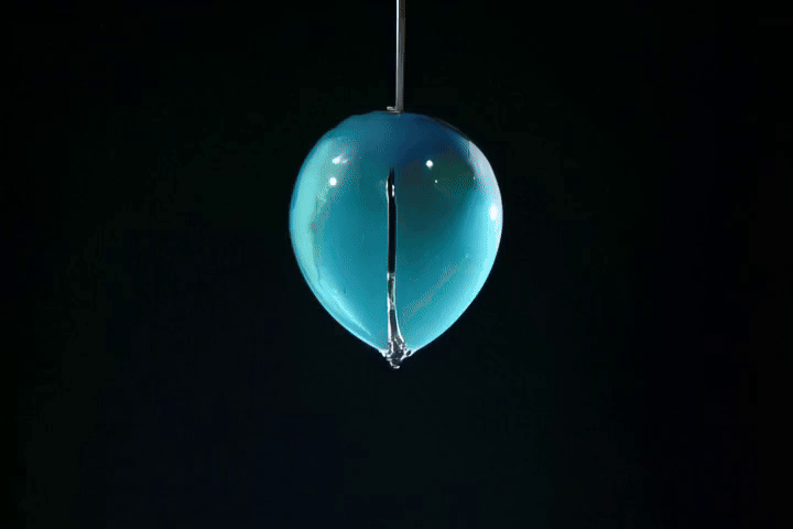삼성, 비디오 생성 모델 품질 높이는 ‘ANSE’ 프레임워크 공개_5.gif