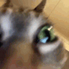 한화는 비 그치고 9회까지 해서 이기는걸 보고싶어_1.gif