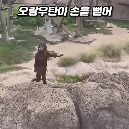 줘_2.gif