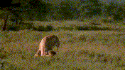 근데 ㅇㅍㄹ 건드는건 조심해야 함_1.gif