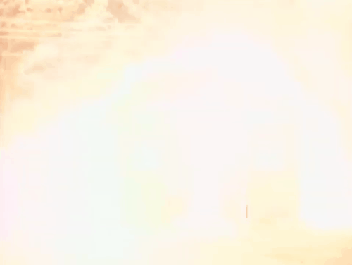 유게 요약_1.gif