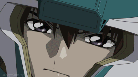 시드에서 의외로 극장판까지 가도 남발되지 않은 설정_4.gif