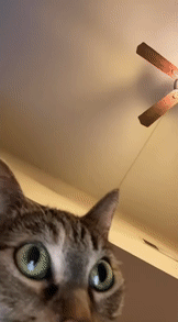 아 자야 하는데 재밌는 건 항상 새벽에 일어나니까_1.gif