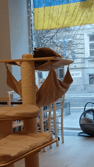 봇치의 리투아니아 여행 8화_22.gif