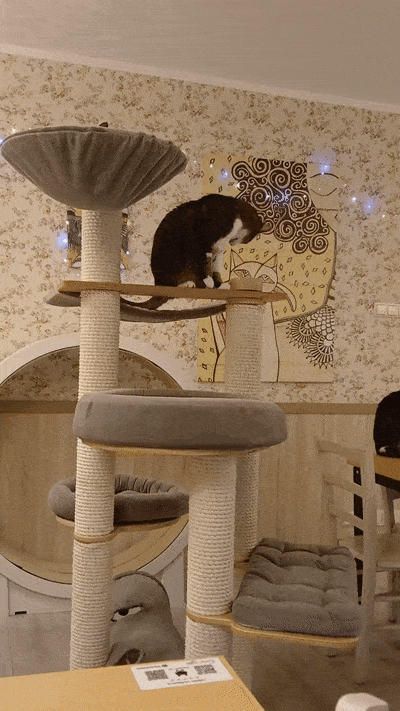 봇치의 리투아니아 여행 10화_21.gif